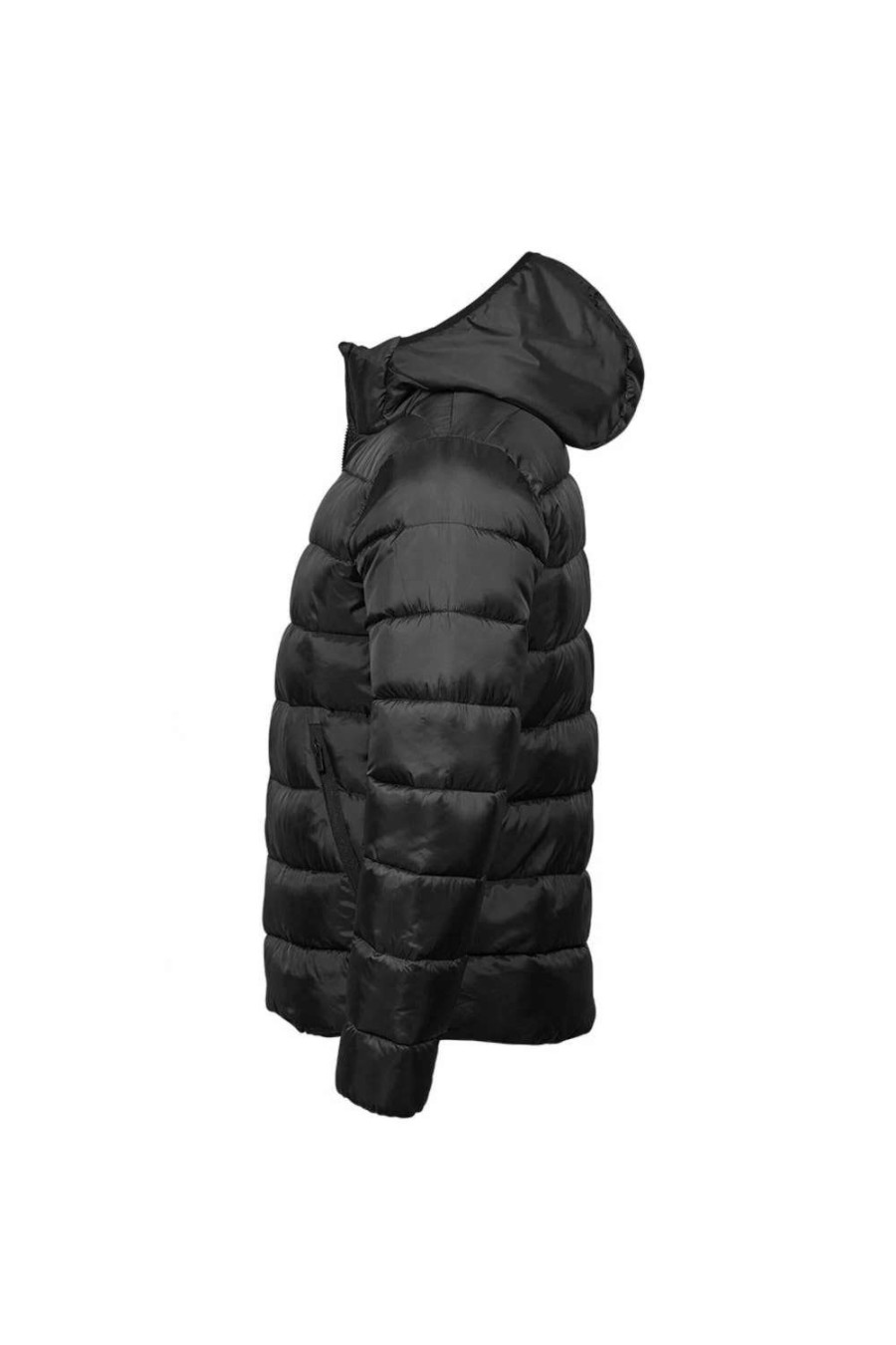 Coats, Jackets & Blazers * | Tee Jays Unisex Adult Lite Hooded Padded Jacket ( ) Black