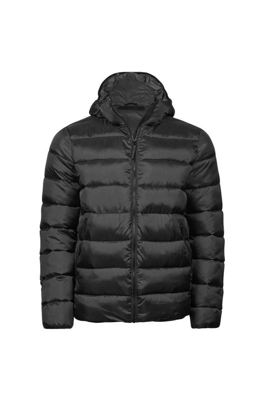 Coats, Jackets & Blazers * | Tee Jays Mens Lite Padded Jacket Black