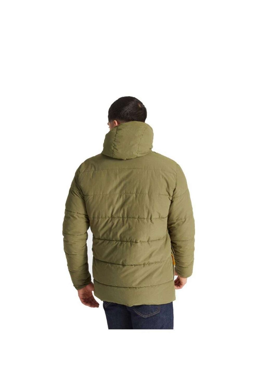 Coats, Jackets & Blazers * | Craghoppers Mens Cromarty Insulated Padded Jacket Bottle Green