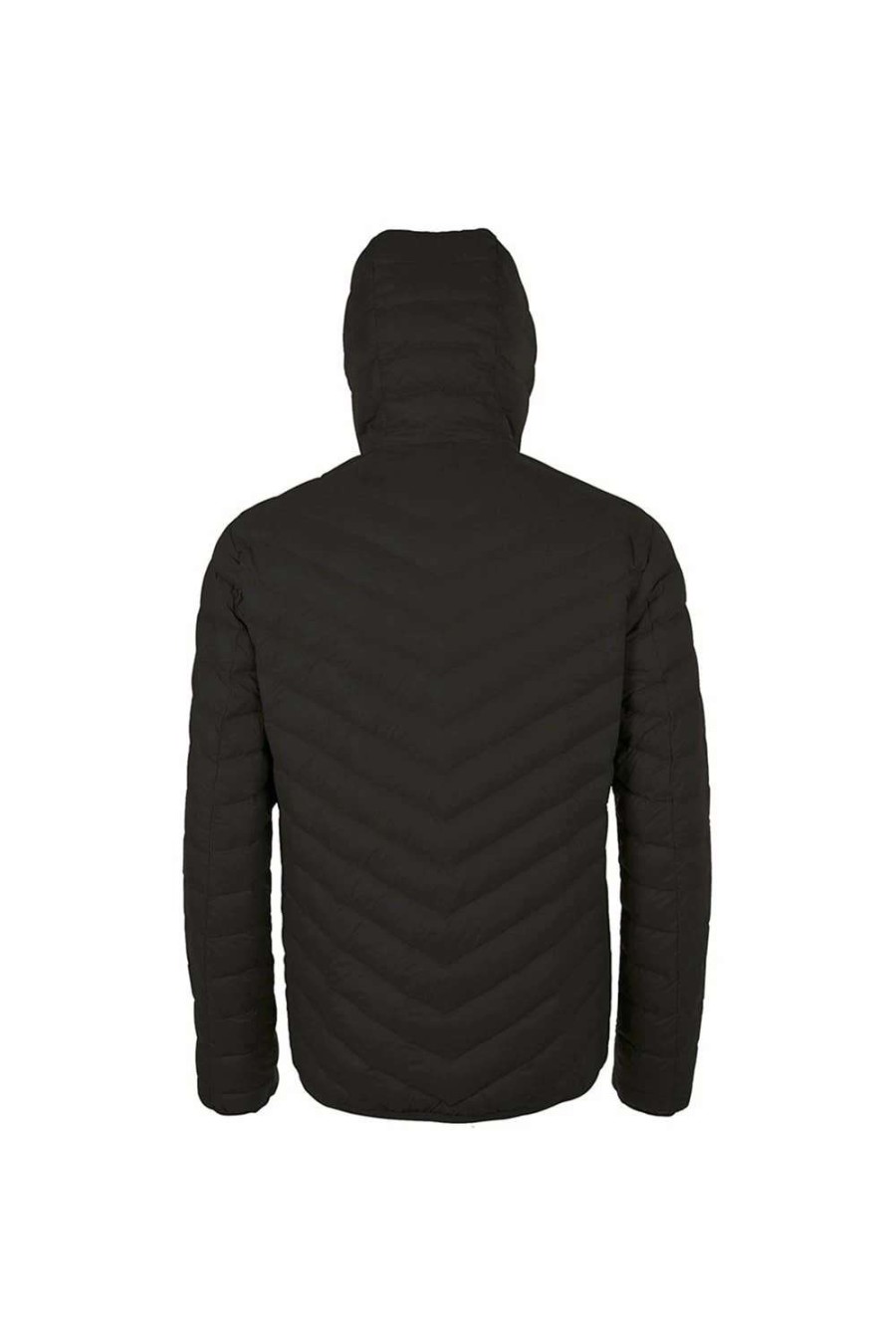 Coats, Jackets & Blazers * | Sols Mens Ray Padded Jacket ( ) Black