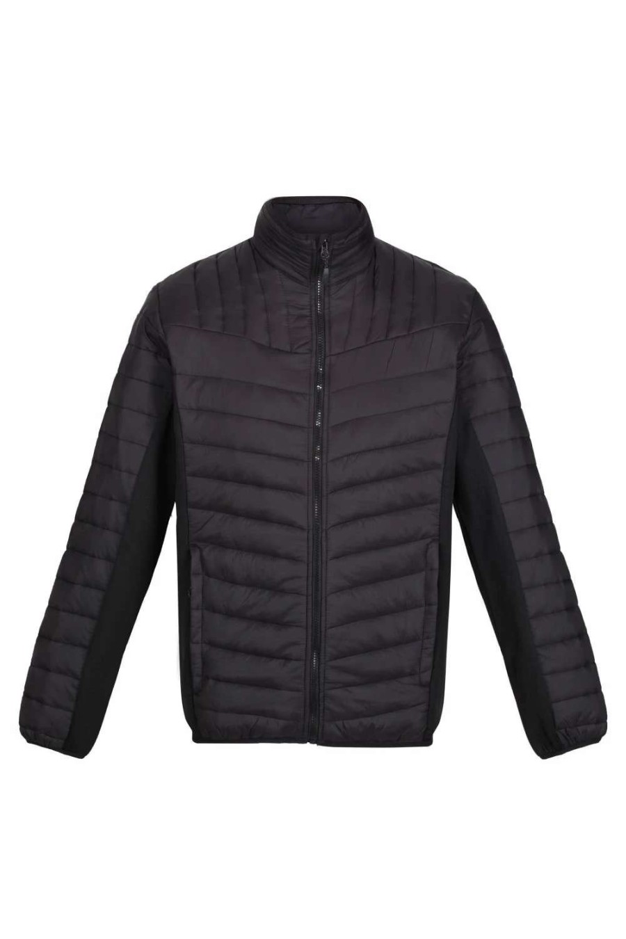 Coats, Jackets & Blazers * | Regatta Mens Tourer Hybrid Padded Jacket Black