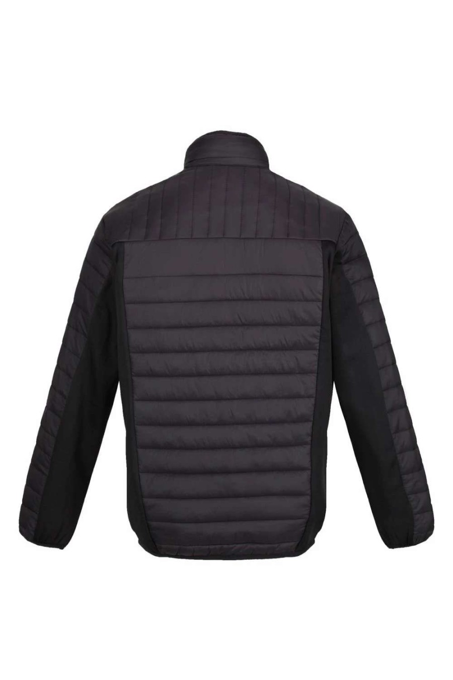 Coats, Jackets & Blazers * | Regatta Mens Tourer Hybrid Padded Jacket Black