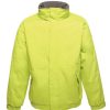 Coats, Jackets & Blazers * | Regatta Dover Waterproof Windproof Jacket (Thermo-Guard Insulation) Key Lime/Seal Gray