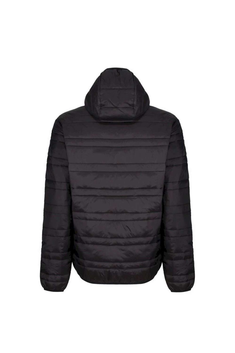 Coats, Jackets & Blazers * | Regatta Mens Firedown Padded Jacket Black