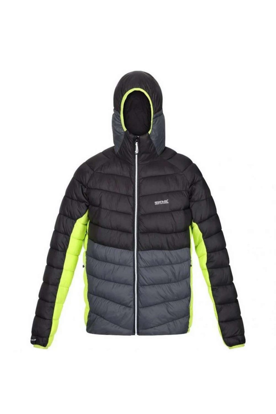 Coats, Jackets & Blazers * | Regatta Mens Harrock Puffer Jacket Black/Dark Grey