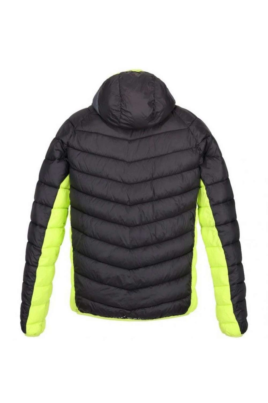 Coats, Jackets & Blazers * | Regatta Mens Harrock Puffer Jacket Black/Dark Grey